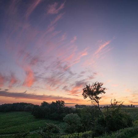 Love Horizon Monprimblanc Luaran gambar